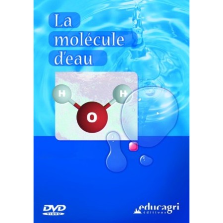 La molécule d'eau