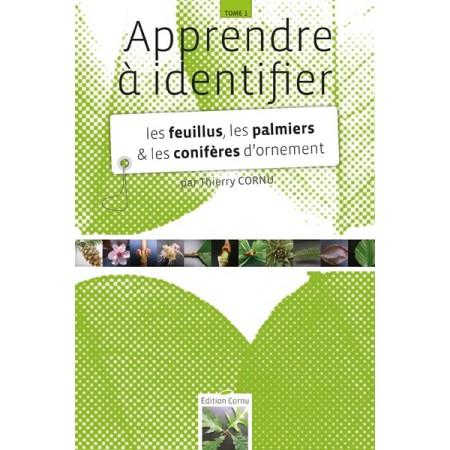 Apprendre à identifier les feuillus, les palmiers et les conifères