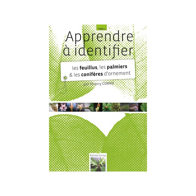 Apprendre à identifier les feuillus, les palmiers et les conifères