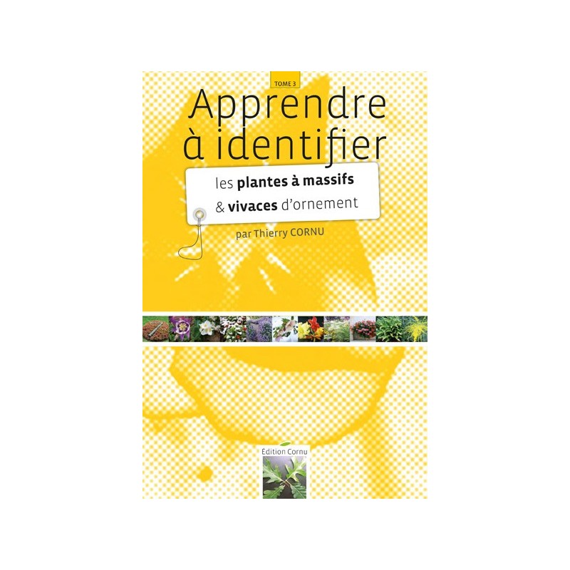 Apprendre à identifier les plantes à massif et vivaces d'ornement