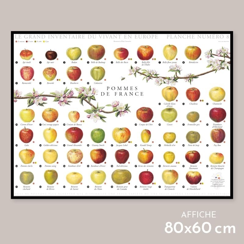 Pommes de France