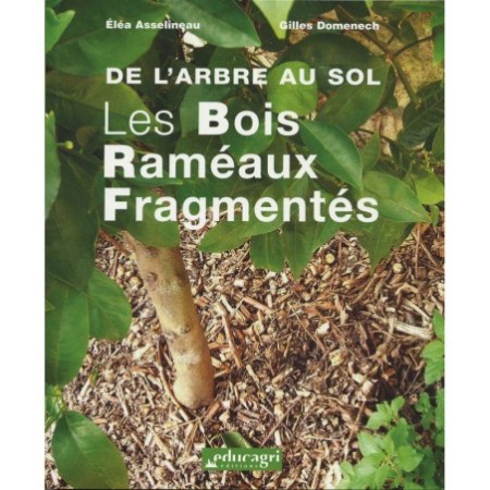 De l'arbre au sol
