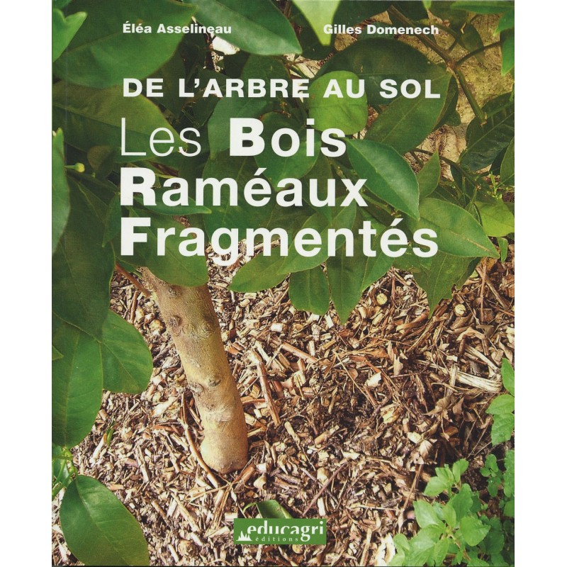 De l'arbre au sol
