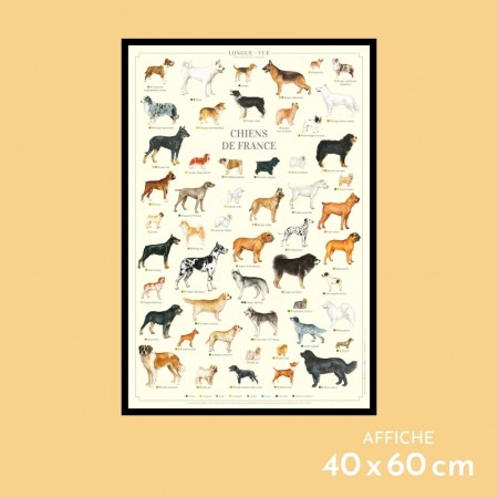Chiens de France
