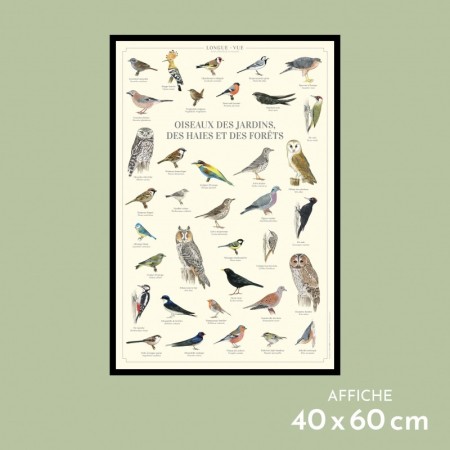 Oiseaux des jardins, des haies et des forêts