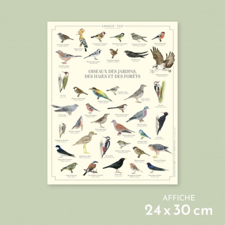 Oiseaux des jardins, des haies et des forêts