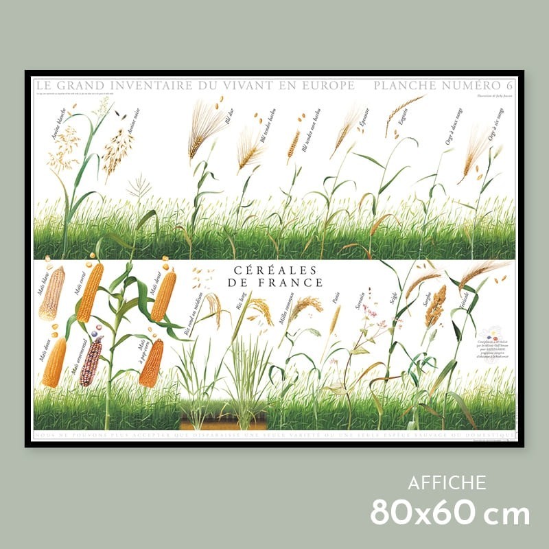 Céréales de France