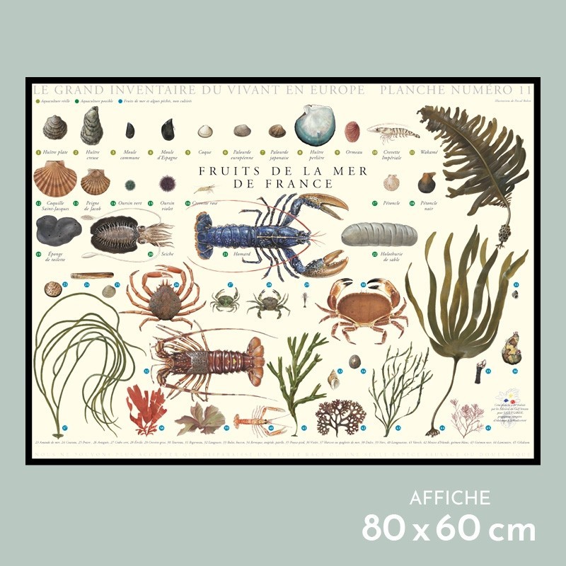 Fruits de la mer de France