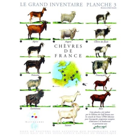 Chèvres de France