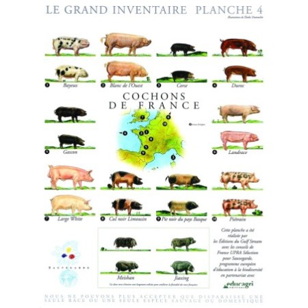 Cochons de France