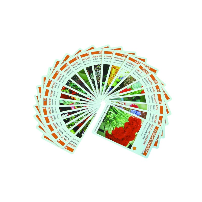 Planti'cartes Planti'cartes