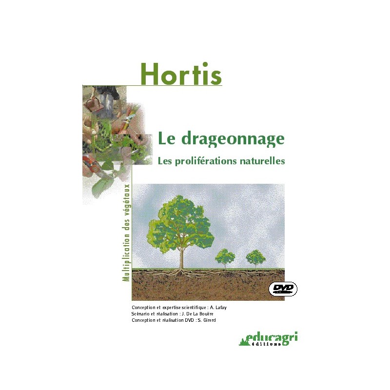 Le drageonnage