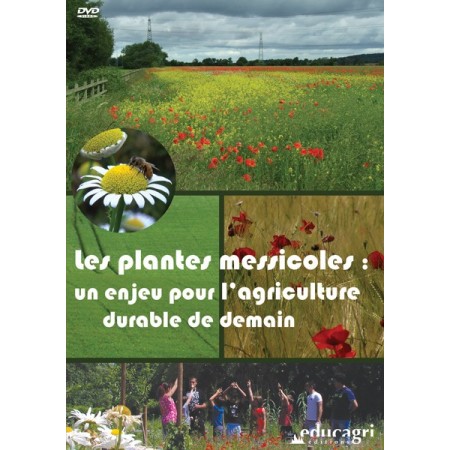 Les plantes messicoles