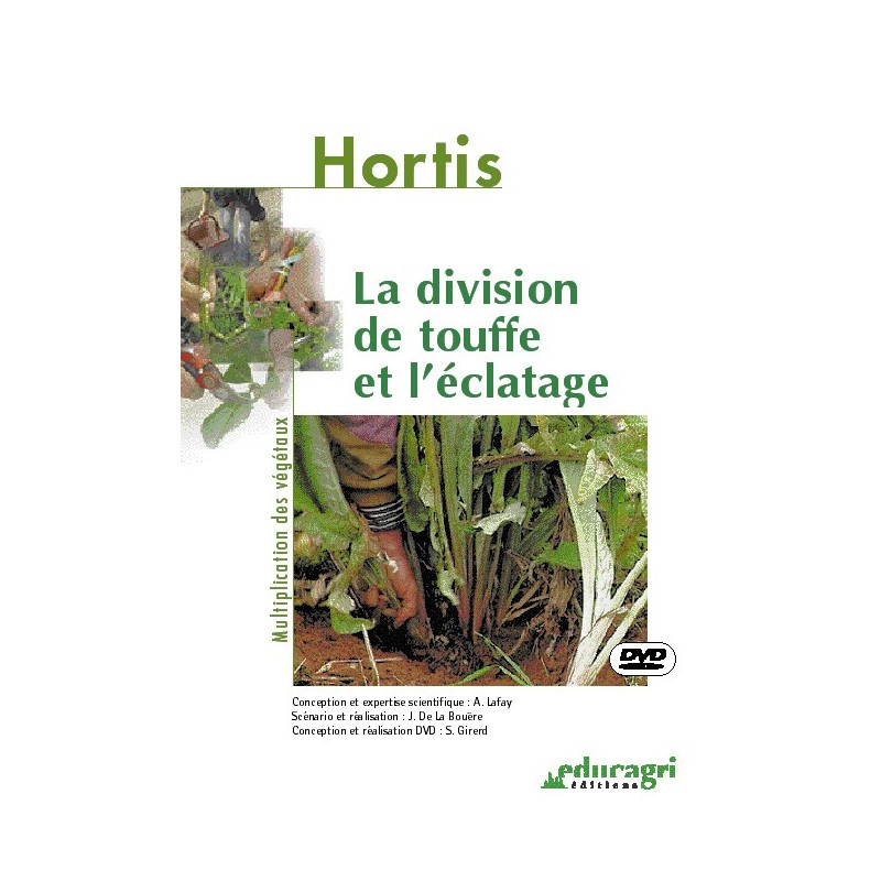 La division de touffe et l'éclatage