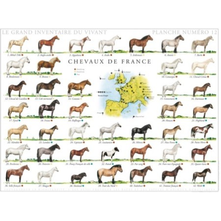 Chevaux de France