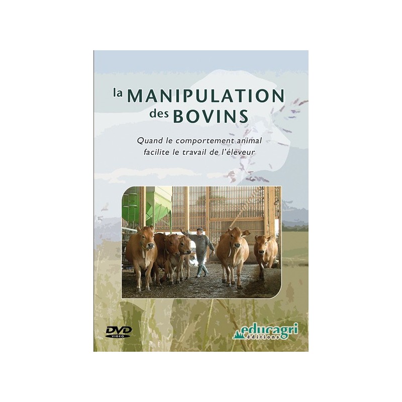 La manipulation des bovins La manipulation des bovins