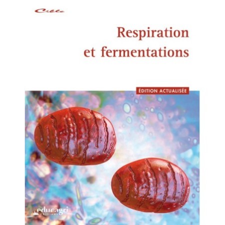 Respiration et fermentations