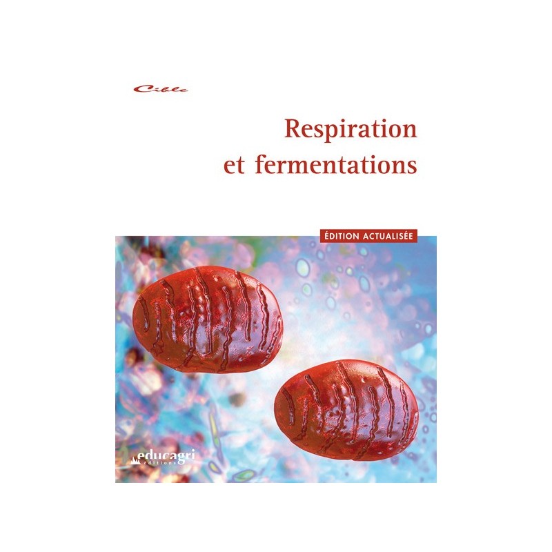 Respiration et fermentations
