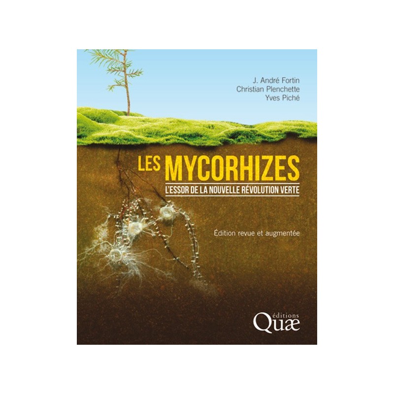Les mycorhizes
