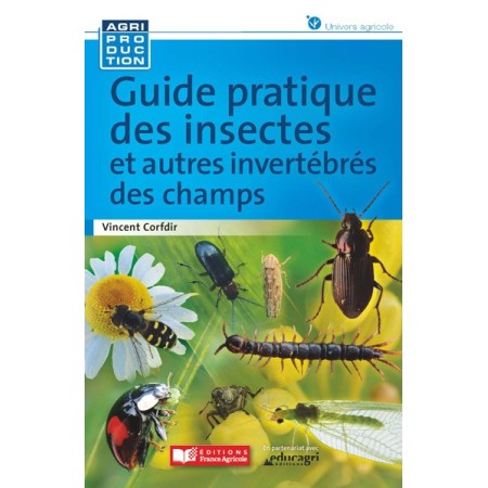 Guide pratique des insectes et autres invertébrés des champs