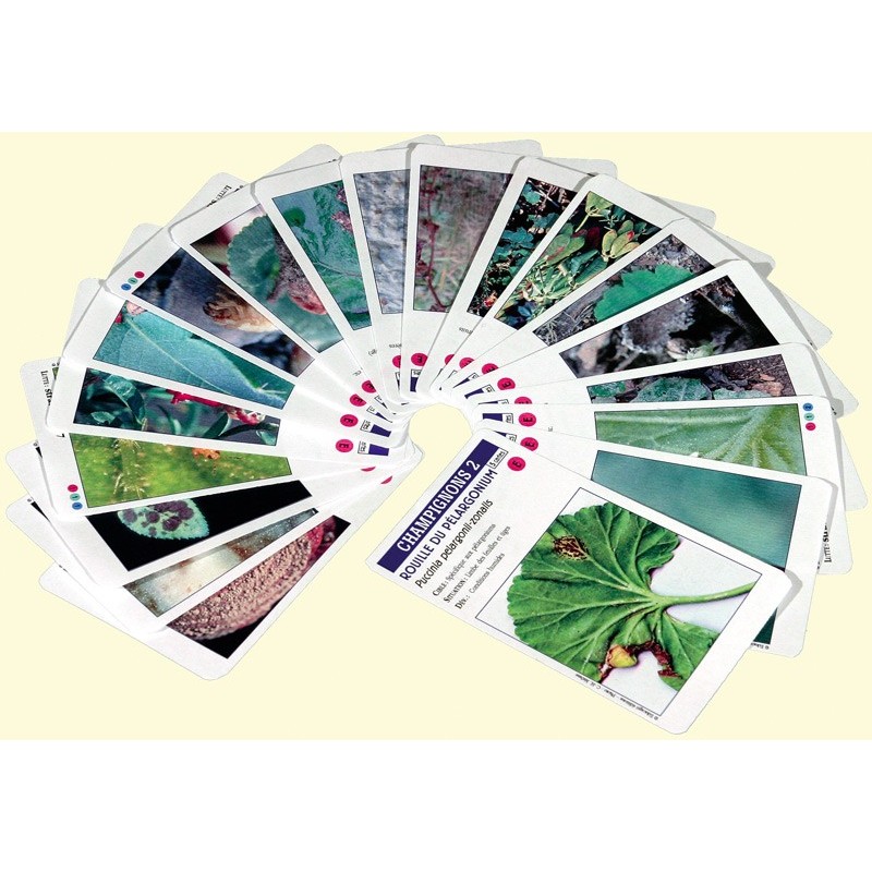 Croq'feuilles Croq'feuilles