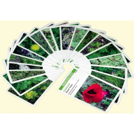 Malherbo'cartes