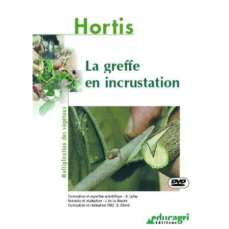 La greffe en incrustation