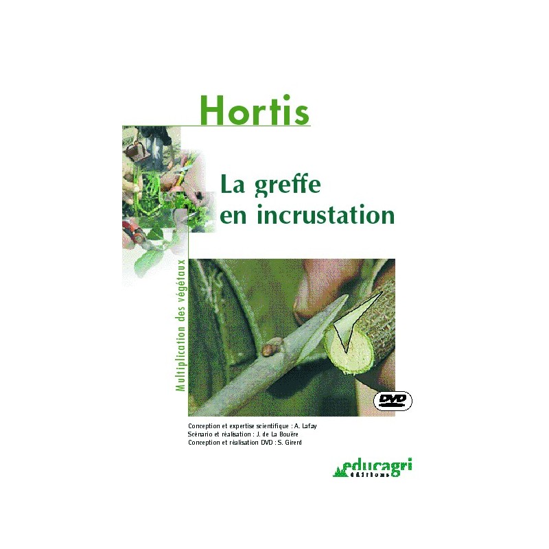 La greffe en incrustation