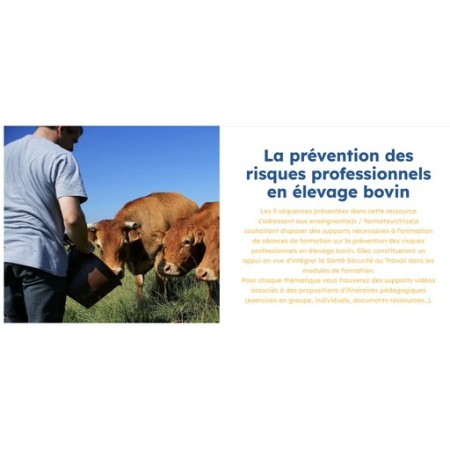 La prévention des risques professionnels en élevage bovin