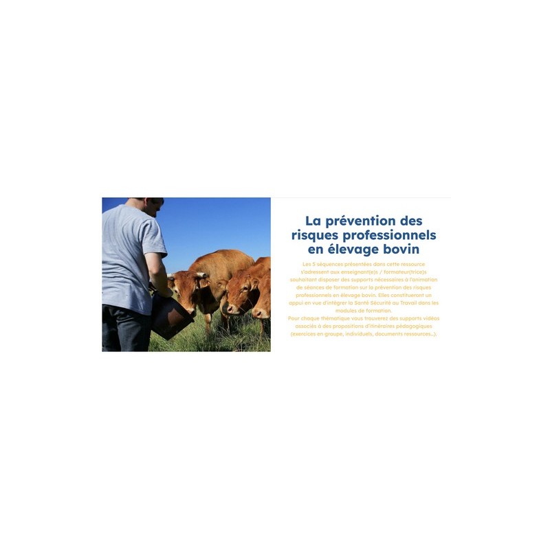 La prévention des risques professionnels en élevage bovin La prévention des risques professionnels en élevage bovin