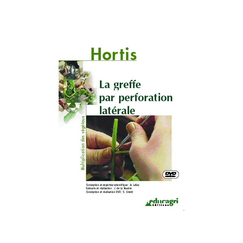 La greffe par perforation latérale