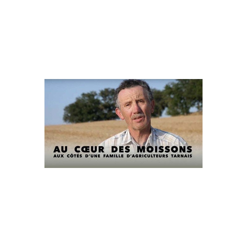 Au cœur des moissons aux côtés d'une famille d'agriculteurs Tarnais