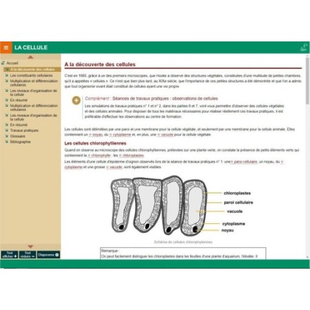 La cellule