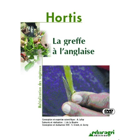La greffe à l'anglaise