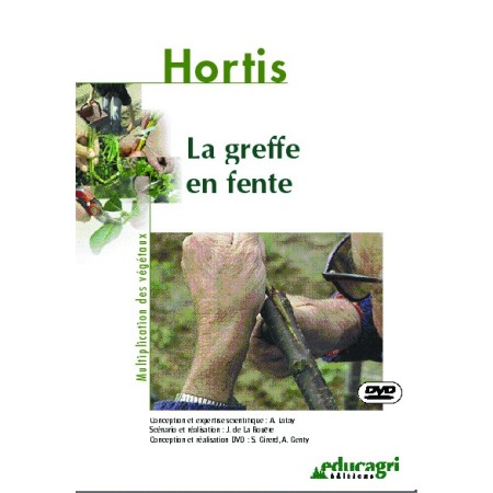 La greffe en fente