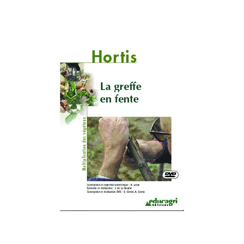 La greffe en fente