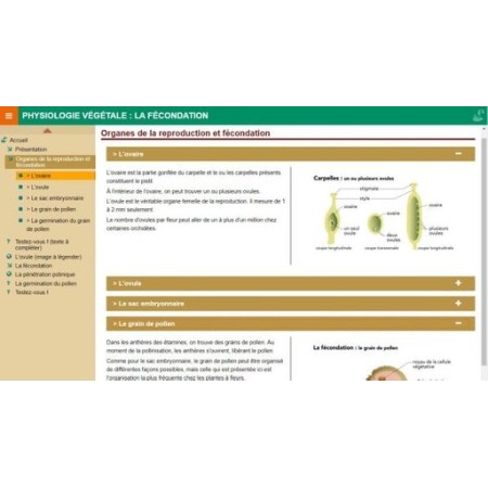 Physiologie végétale : la fécondation