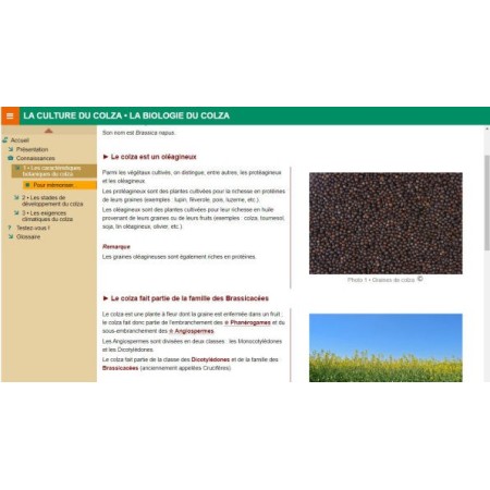 La biologie du colza