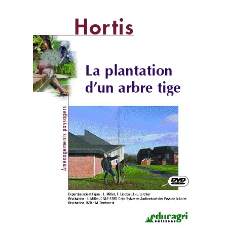 La plantation d'un arbre tige