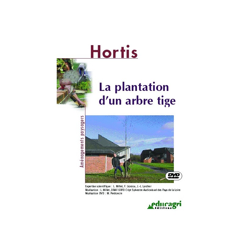 La plantation d'un arbre tige