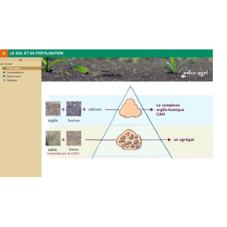 La fertilisation phosphopotassique