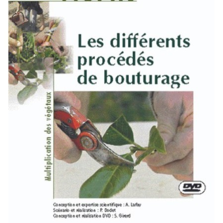 Le bouturage de rameau défeuillé