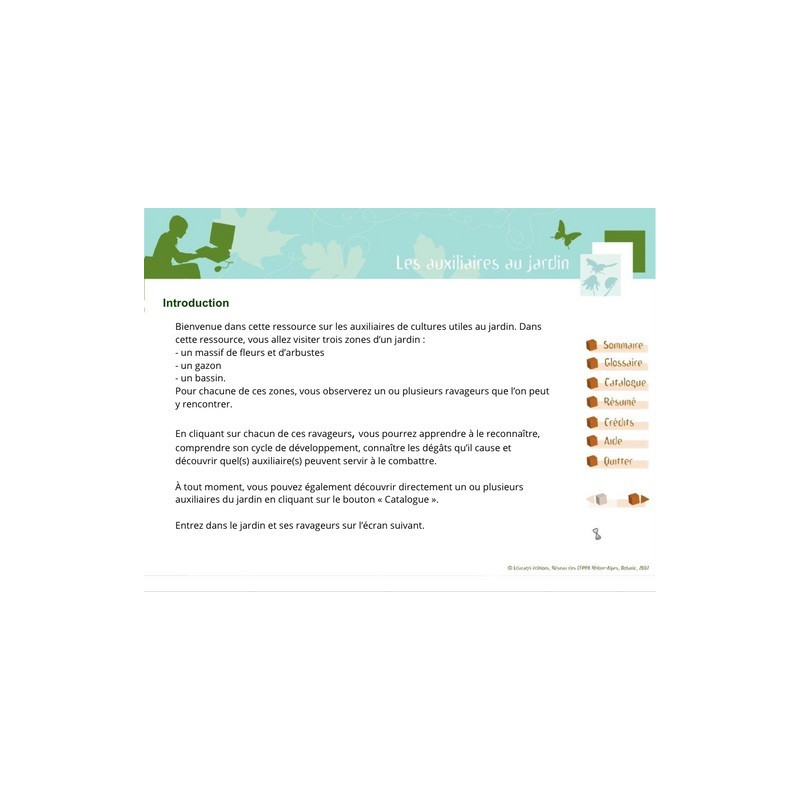 Les auxiliaires au jardin