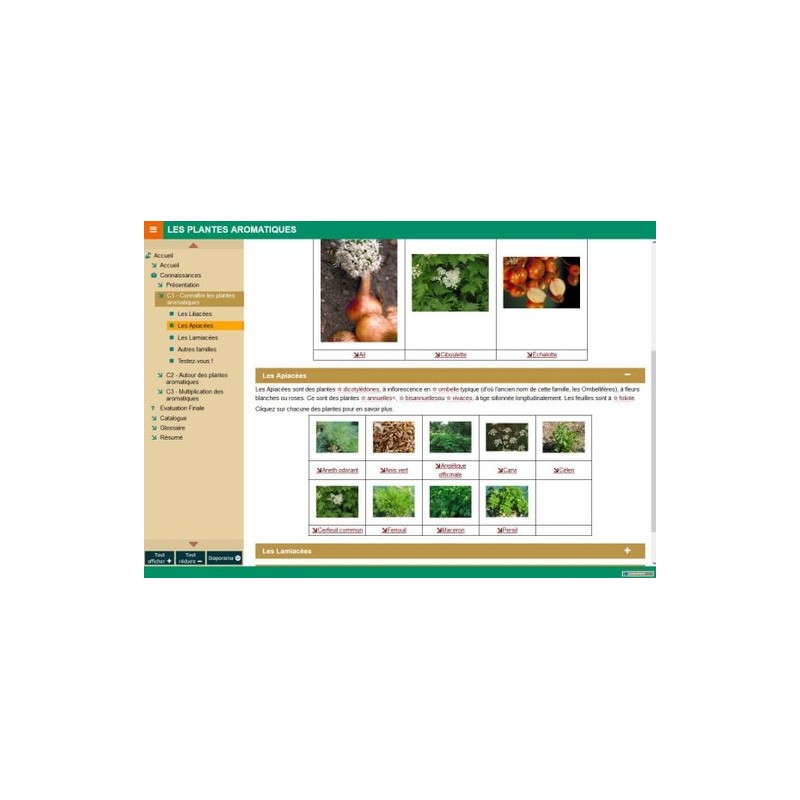 Les plantes aromatiques