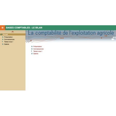 Bases comptables : le bilan
