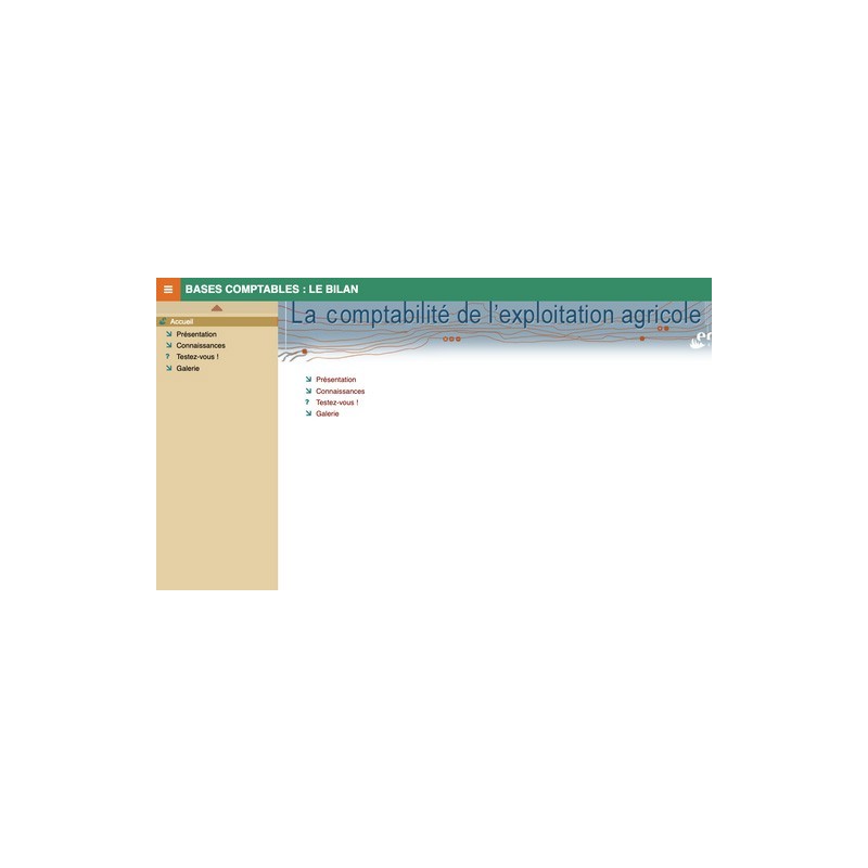 Bases comptables : le bilan
