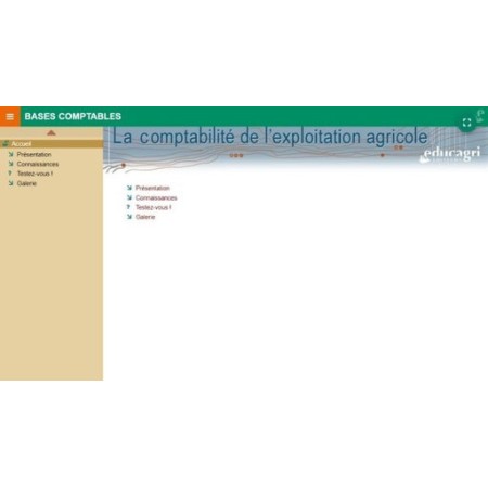 Bases comptables : présentation