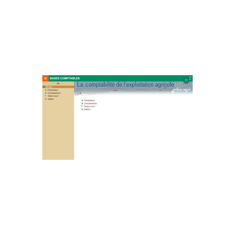 Bases comptables : présentation