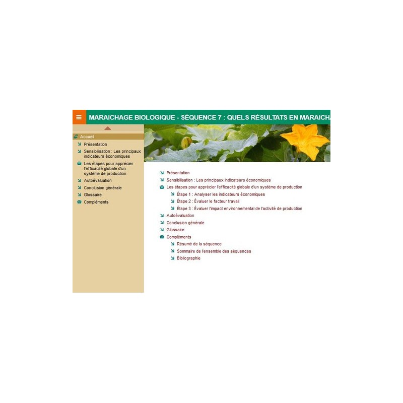 Maraichage biologique : quels résultats en maraichage biologique ?