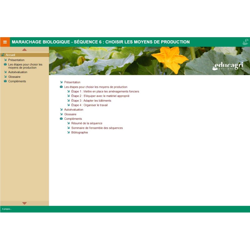 Maraichage biologique : quelle organisation de la production ?